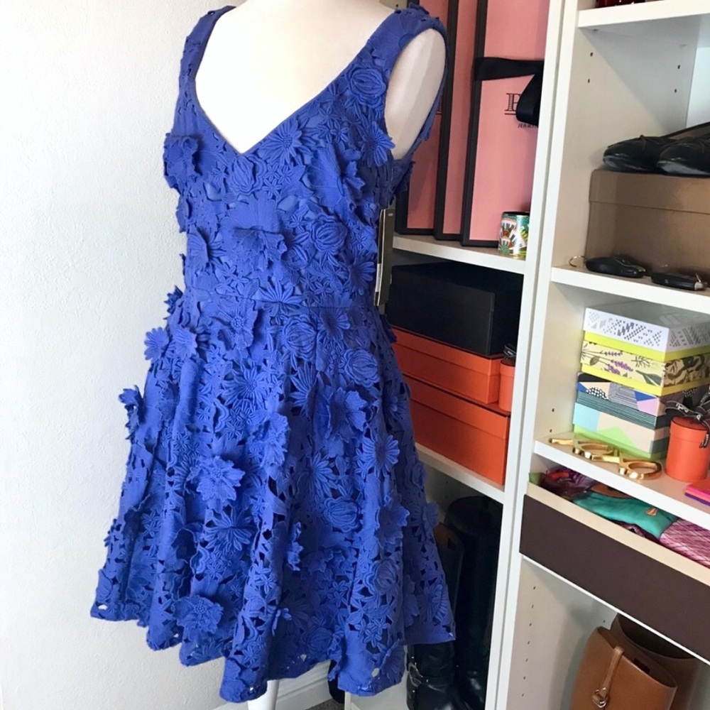 Nicole Miller Fit & Flare Flower Garden Dress
